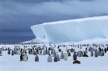 Foto auf Acrylglas Antarktis 15260167