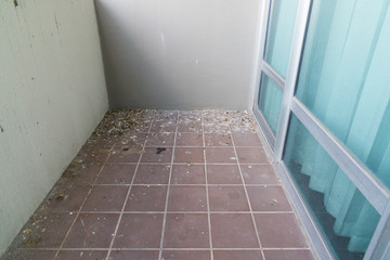 Problem of Pigeon dropping at balcony.