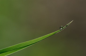 Obraz premium 15260118