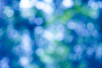 Bokeh out of focus background from tree in nature, soft color