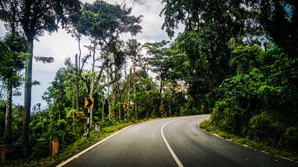 Fototapeta premium Narrow Road 