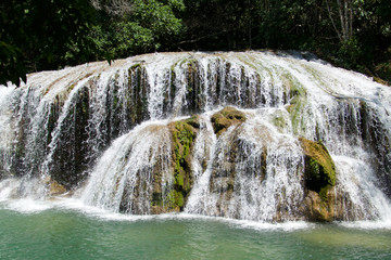 Natural Landscape in Bonito, state of Mato Grosso do Sul, Brazil