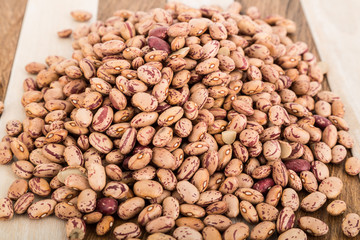 Pinto bean (Phaseolus vulgaris)