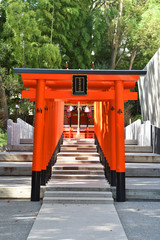 生田神社　お稲荷さん