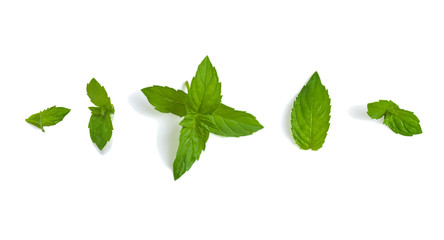 Obraz premium Fresh mint leaves. Mint on isolated white background