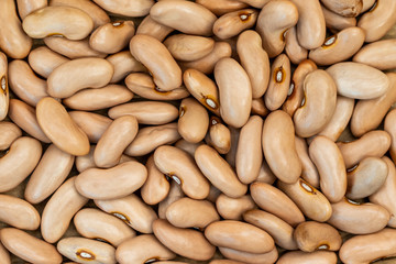 Close-up of brown beans or cinnamon beans. Spain