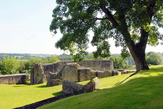 Ville de Domfront-en-Poiraie, vestiges du chateau &agrave; l'ombre d'un grand arbre, d&eacute;partement de l'Orne, France