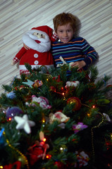 under the christmas tree