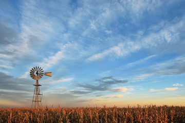Texas style westernmill windmill at sunset, with a golden colored grain field in the foreground, Argentina - Powered by Adobe