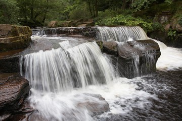 Fototapeta premium 14580008