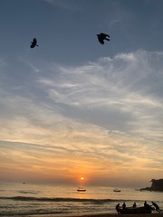 Sunset by the beach and crows are heading back to the nests