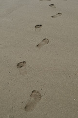 footprints in the sand beach