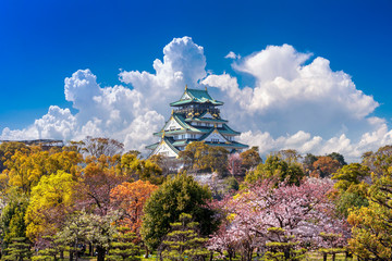 Cherry blossoms and castle in Osaka, Japan.