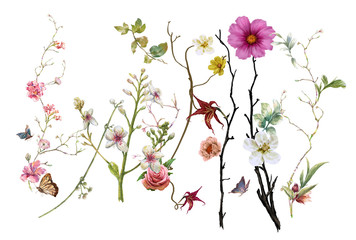 watercolor painting of leaves and flower, on white background