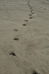 Fototapeta na wymiar Footprints oh the sand beach