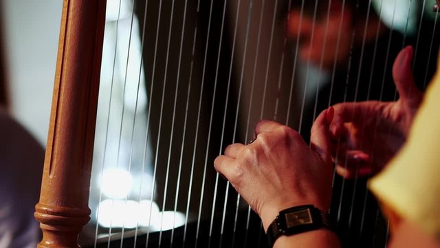 Girl playing the harp. Stringed musical instrument and young women touching strings. Traditional musical instrument. Close up of fingers on strings, harpist playing classical melody