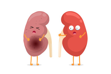Sad suffering sick and cute healthy amazement surviving kidney characters. Human anatomy genitourinary system internal unhealthy cry and strong organ compare. Vector flat cartoon illustration