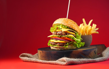Tasty burger with double beef and french fries. Copy space.