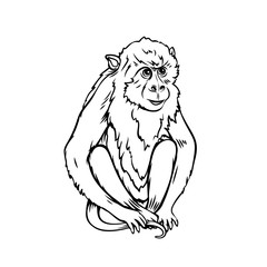 Monkey macaque icon