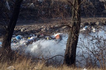 Nature near Ukrainian capital. Trash burning. Air pollution. Environmental contamination. Illegal junk dump. Near Kiev, Ukraine
