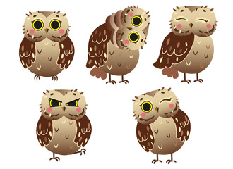 Cute cartoon owl vector set. Owl in different postures. Forest animals for kids. Isolated on white background