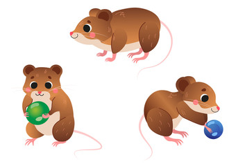 Cute cartoon vole vector set. Vole in different postures. Forest animals for kids. Isolated on white background