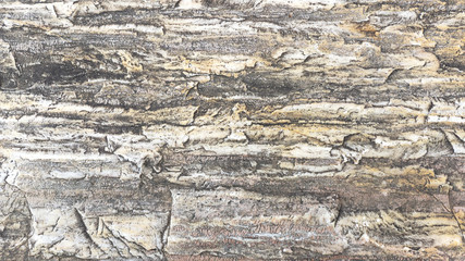 Stone wall or grunge, natural pattern, bronze wall, lighting abstract texture background, Blank for design, with Copy Space for Text..