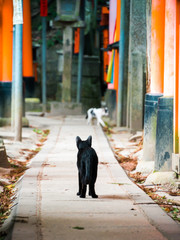 Temple au Japon