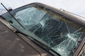 Fototapeta premium 16310047