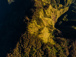 Aerial view of mountain with forest