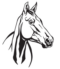 Vector decorative horse 5