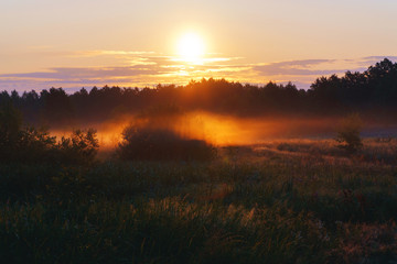 Early foggy morning with beatiful sun near the Desna river, Ukraine   - 310432394