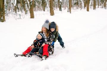 Happy family driving sled on the snow. Mother and kids having fun in winter. Happy winter holidays
