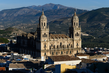 Fototapeta na wymiar Jaen Cathedral and old town of Cadiz, Cadiz Province, Spain