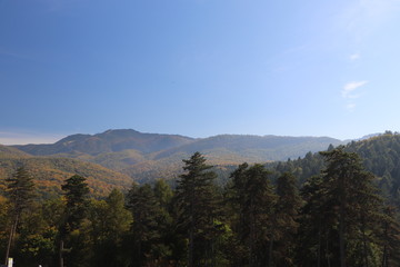 Mountain view from Râșnov citadel.