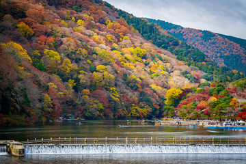 Fototapeta na wymiar Arashiyama forest view in the Autumn along Katsura river. Kyoto, Japan.