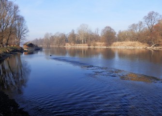 Fototapeta premium forest lake