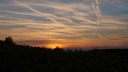Blumenmeer vor Sonnenuntergang