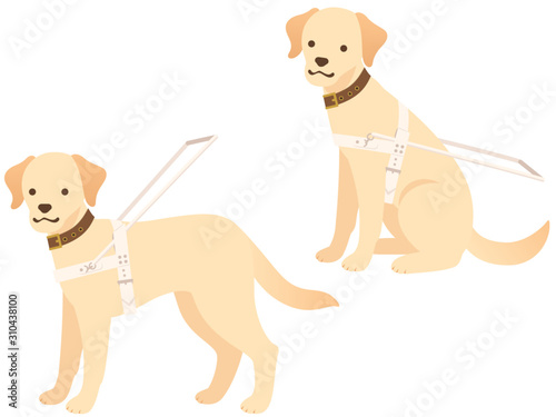 盲導犬のイラストセット お座り 立つ Animal Wall Mural Anim Nora Hachio 盲導犬のイラストセット お座り 立つ Animal Wall Mural Anim Nora Hachio