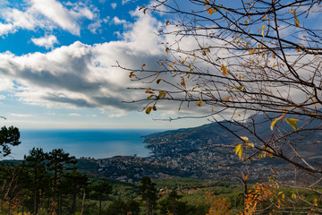 Autumn cloud mountain valley landscape. Leaves in the autumn forest