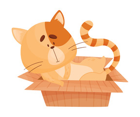 Cat Resting in Cardboard Box Vector Illustration
