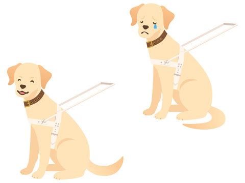 769 Best 盲導犬 Images Stock Photos Vectors Adobe Stock 769 Best 盲導犬 Images Stock Photos Vectors Adobe Stock