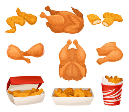 Fried Chicken with Whole and Sliced Hen Legs and Wings Vector Set