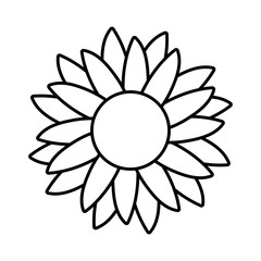 Isolated sunflower icon vector design