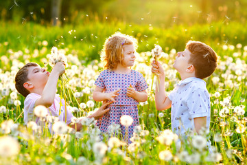 Two kids boys and little baby girl blowing on a dandelion flowers on the nature in the summer....