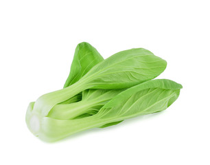 Bok choy vegetable isolated on the white background.