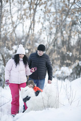 Fototapeta na wymiar Happy family mom, dad and son playing with dog in the winter park. Winter tourism. Family sport.