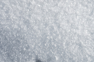 Snow background with detailed snowflakes. A macro photo of real snow crystals: large stellar dendrites with hexagonal symmetry, long elegant patterns and delicate transparent structures