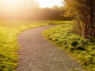 Empty walking path in a park, Sunny day, Selective focus. Nobody.