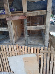 bamboo chicken house